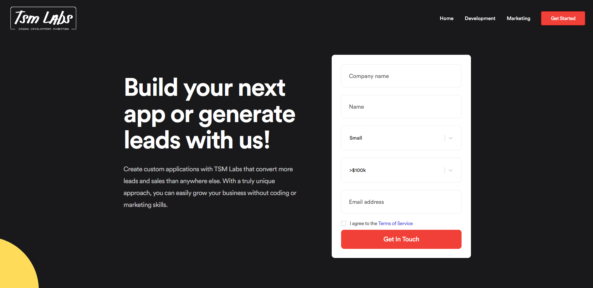 Screenshot of TSMLabs agency website